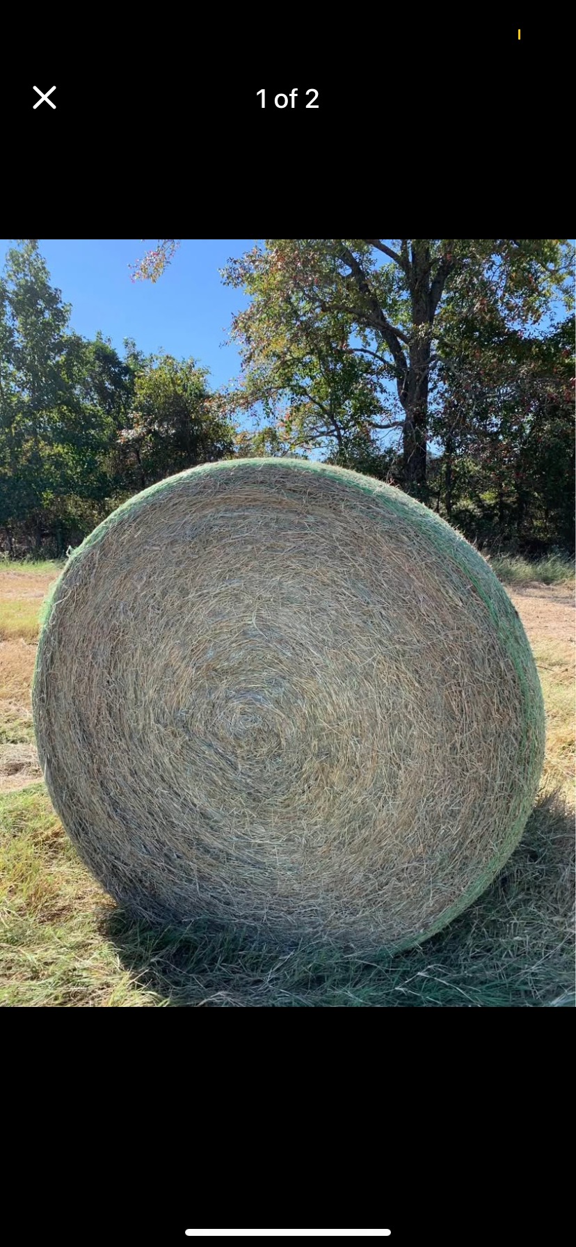 Hay Variety Large Round Bale No